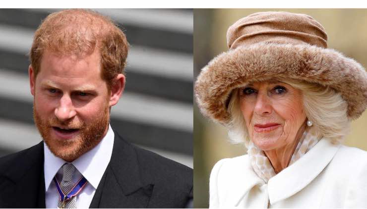 Harry - Le accuse fortissime contro Camilla