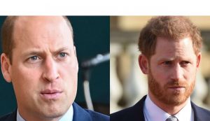 William e Harry